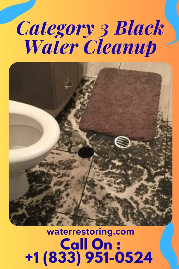 Category 3 Black Water Cleanup in Bayfront, WI