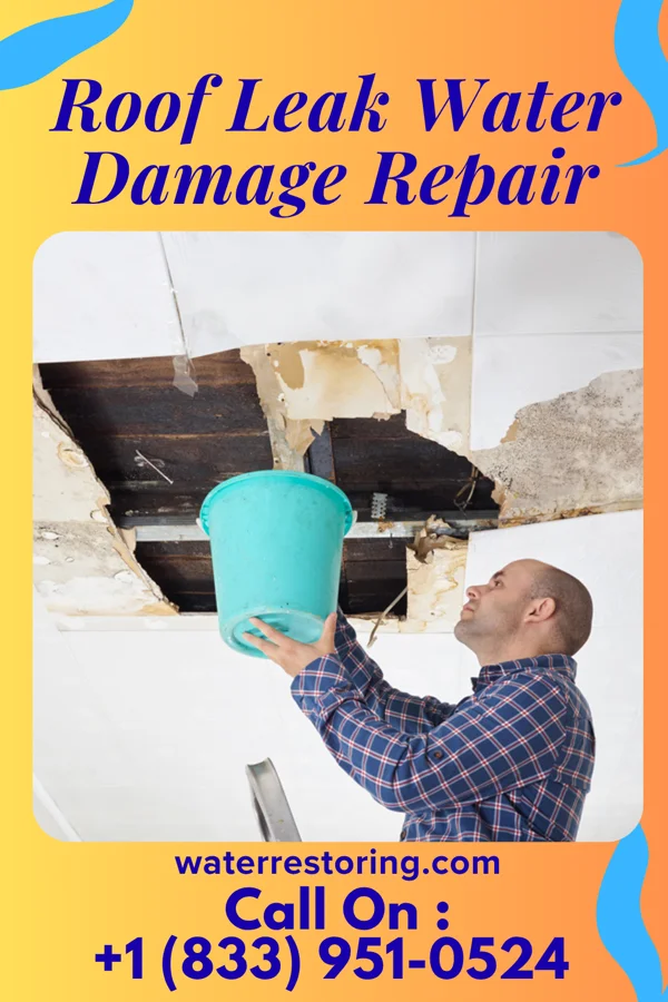 Roof Leak Water Damage Repair in Bayfront, WI